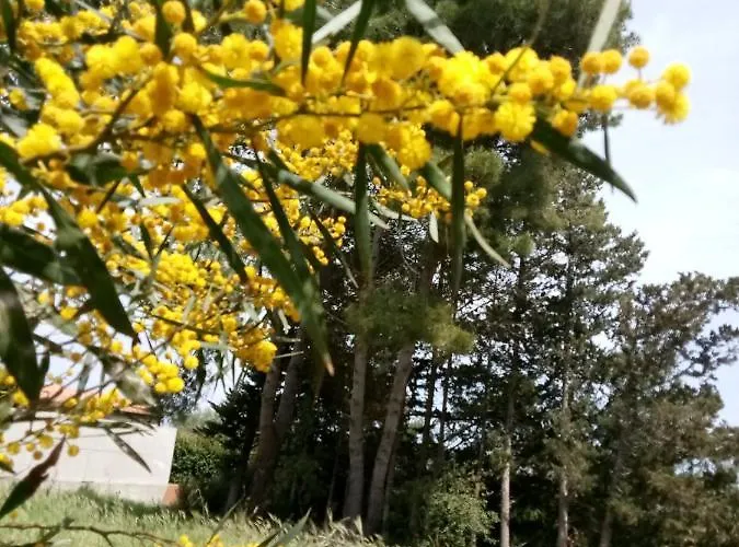 Villa Casa Baia Dei Turchi Otranto